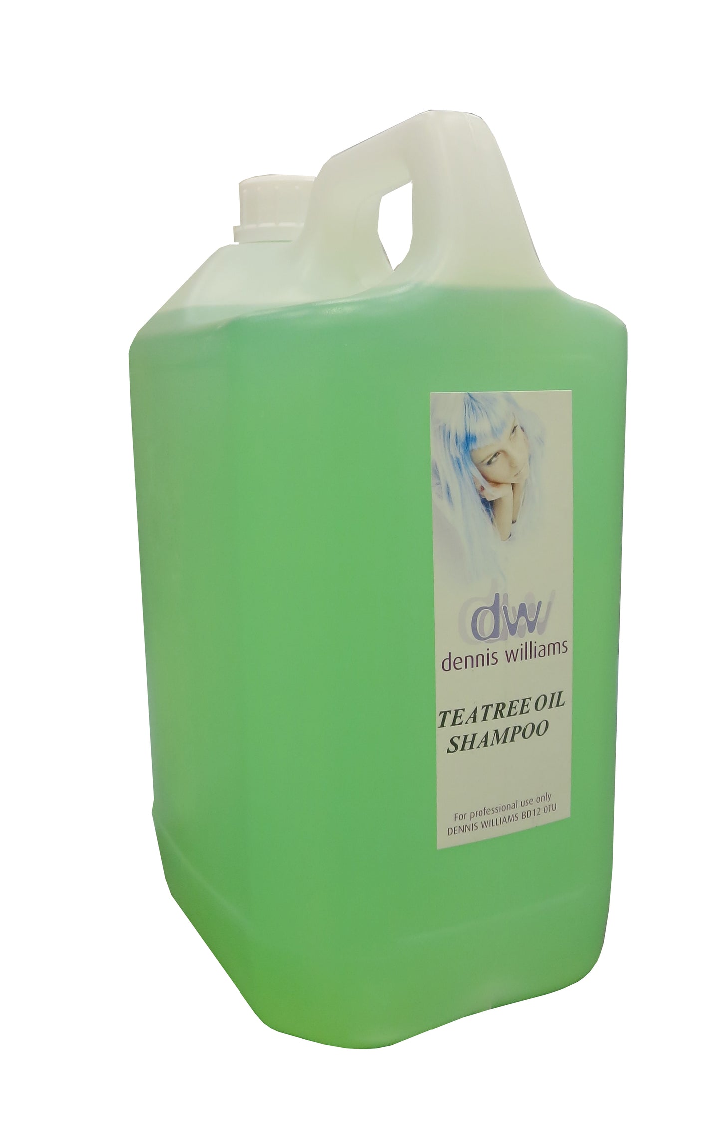 Dennis Williams Setting Lotion 5000ml