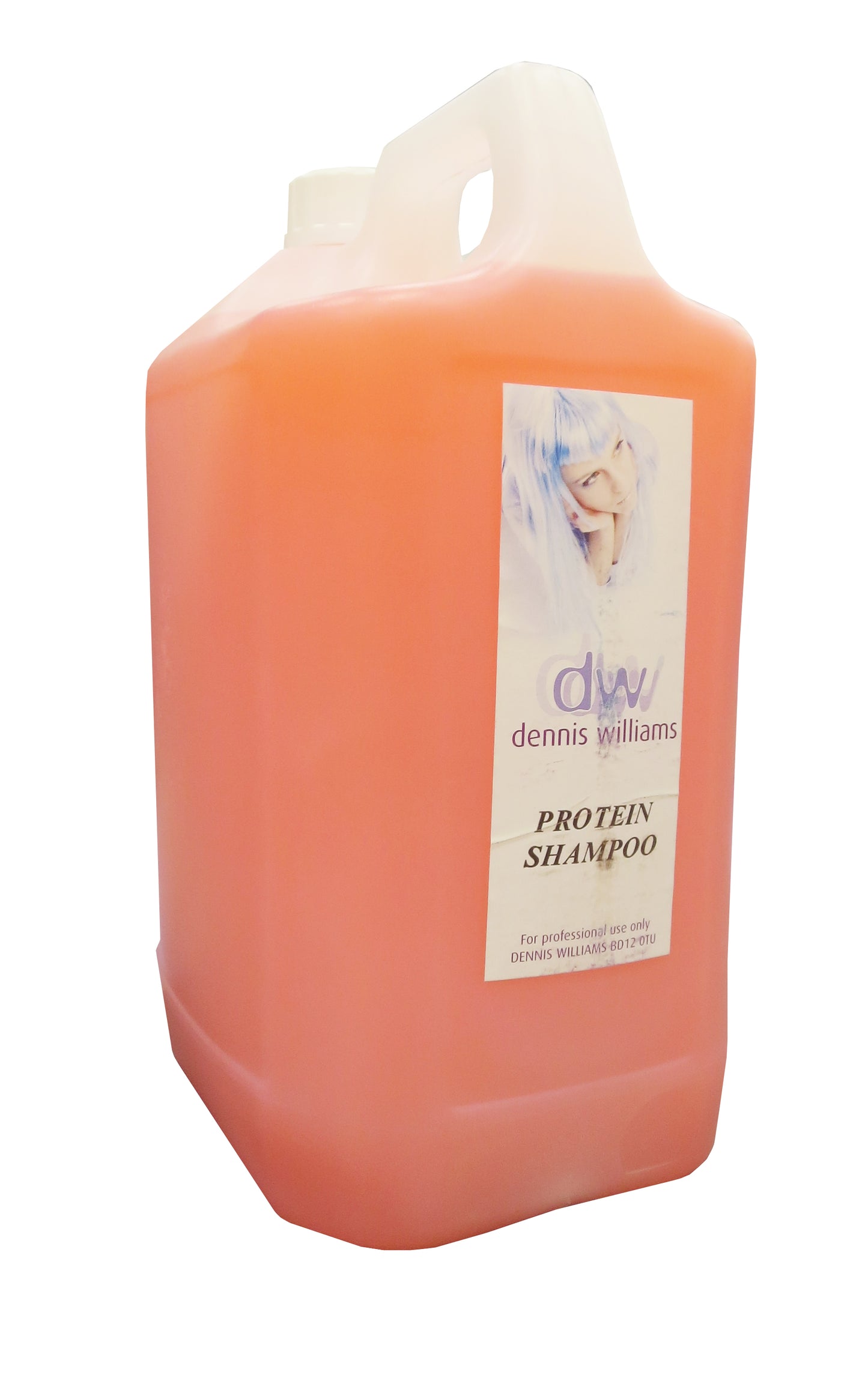 Dennis Williams Setting Lotion 5000ml