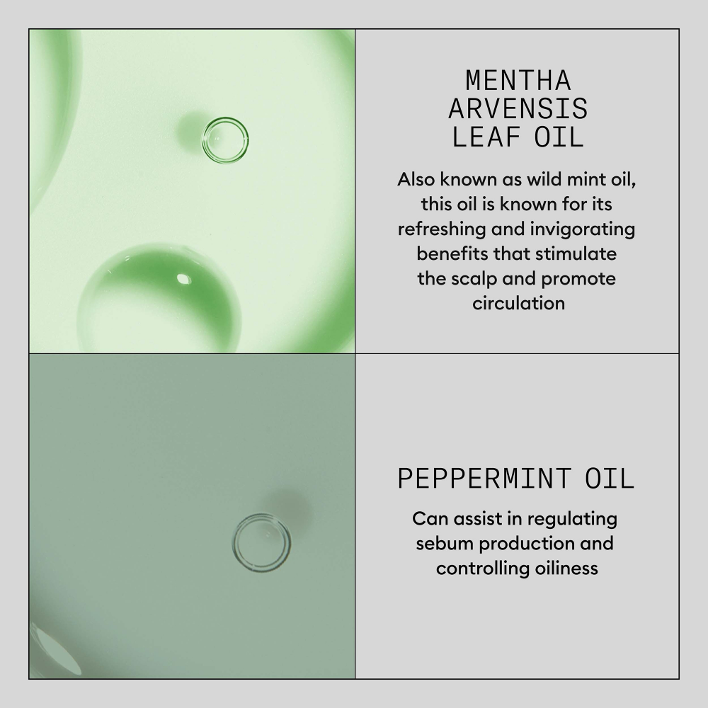 Nioxin Instant Fullness Dry Cleanser 180ml