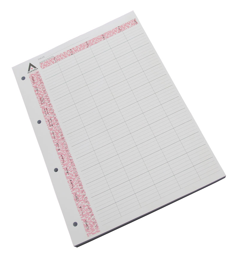 Agenda 6 Assistant Loose Leaf Refill Appointment Pages 100 Pack