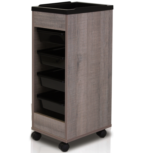 REM Stadium Trolley Michigan Elm